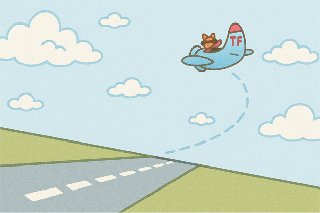 Take Flight Tutoring & Coaching Mascot - Dog flying in airplane